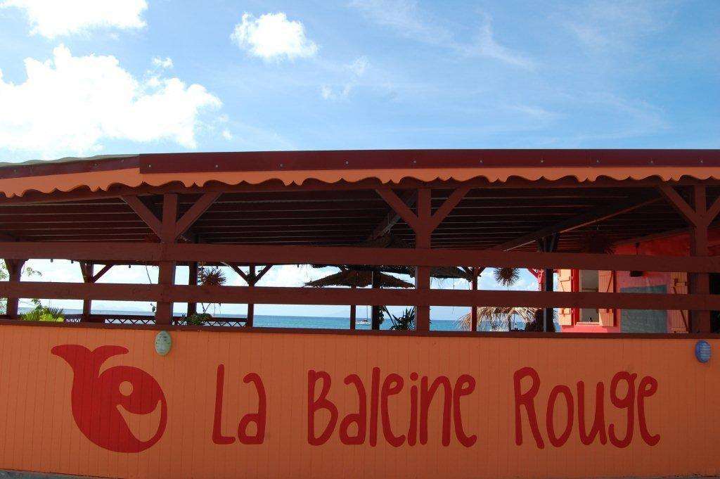 MarieGalante Authentique La Baleine Rouge
