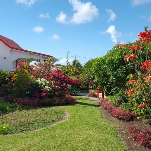 MarieGalante.info - Ô Paradis Terrestre