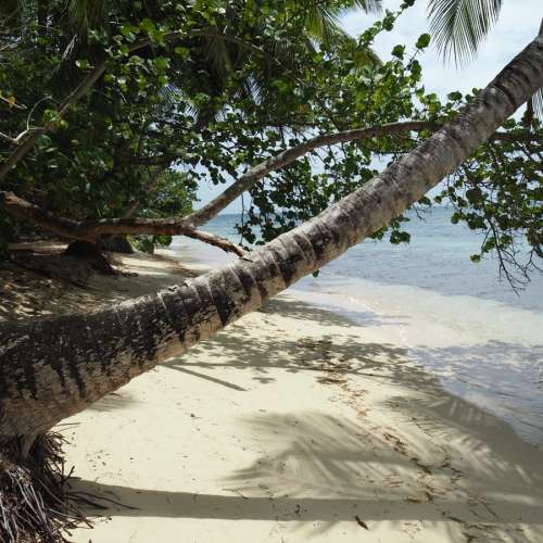 MarieGalante.info - Kawan Beach