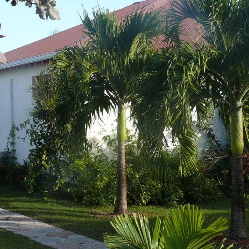 MarieGalante.info - Le Repos